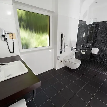 ホテル Seehotel Grunewald 3*