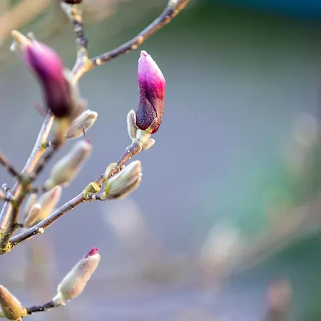 Hotell Seehotel Grunewald 3*